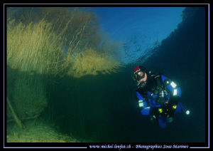The clear waters of our small lakes. Que du bonheur... :O... by Michel Lonfat 